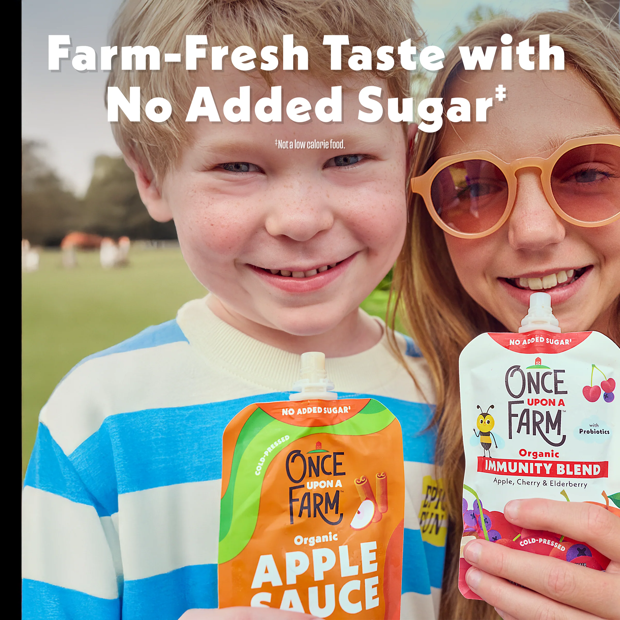 Apple Cinnamon Applesauce - Image 8