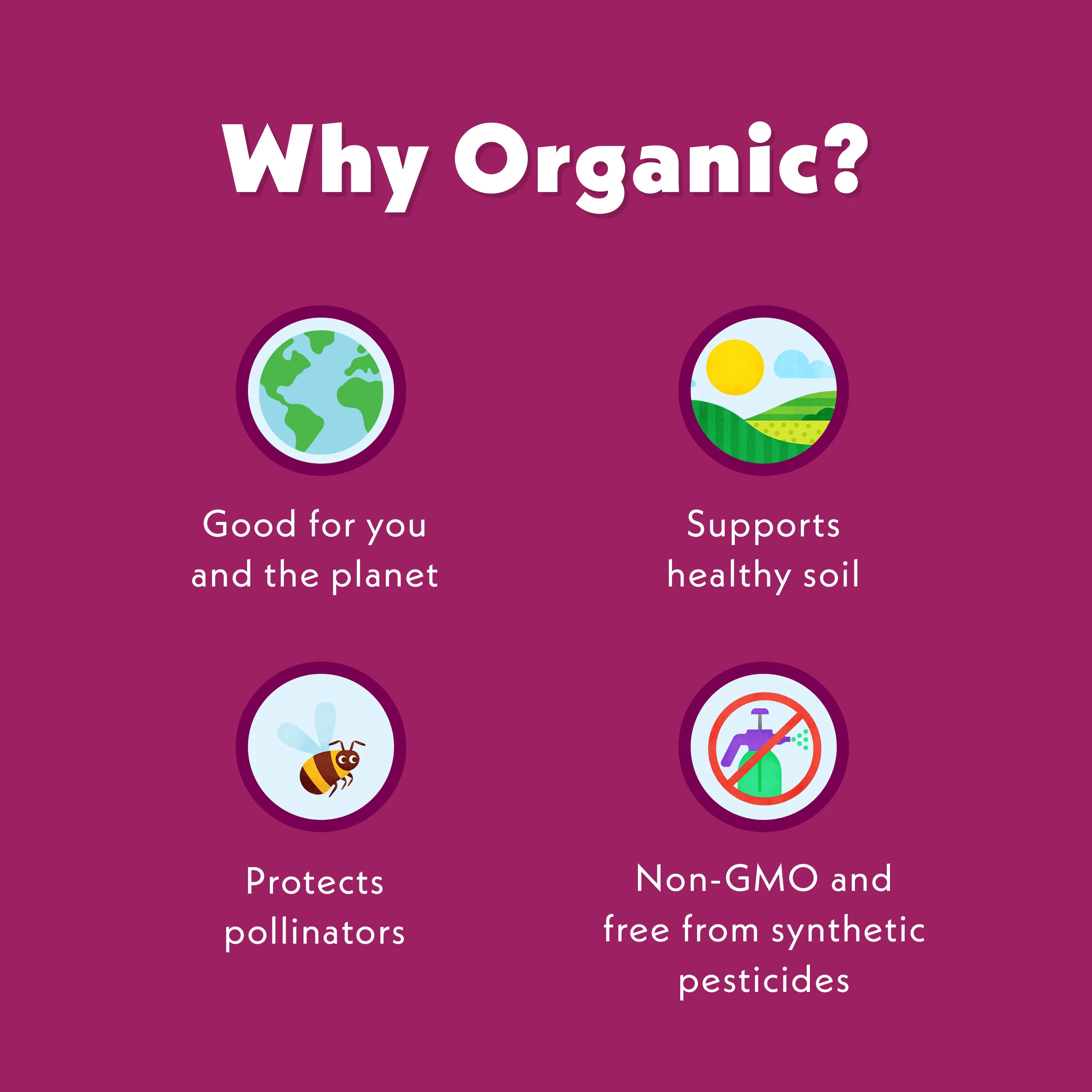 Bananas For Berries Oat Milk Smoothie - Image 7