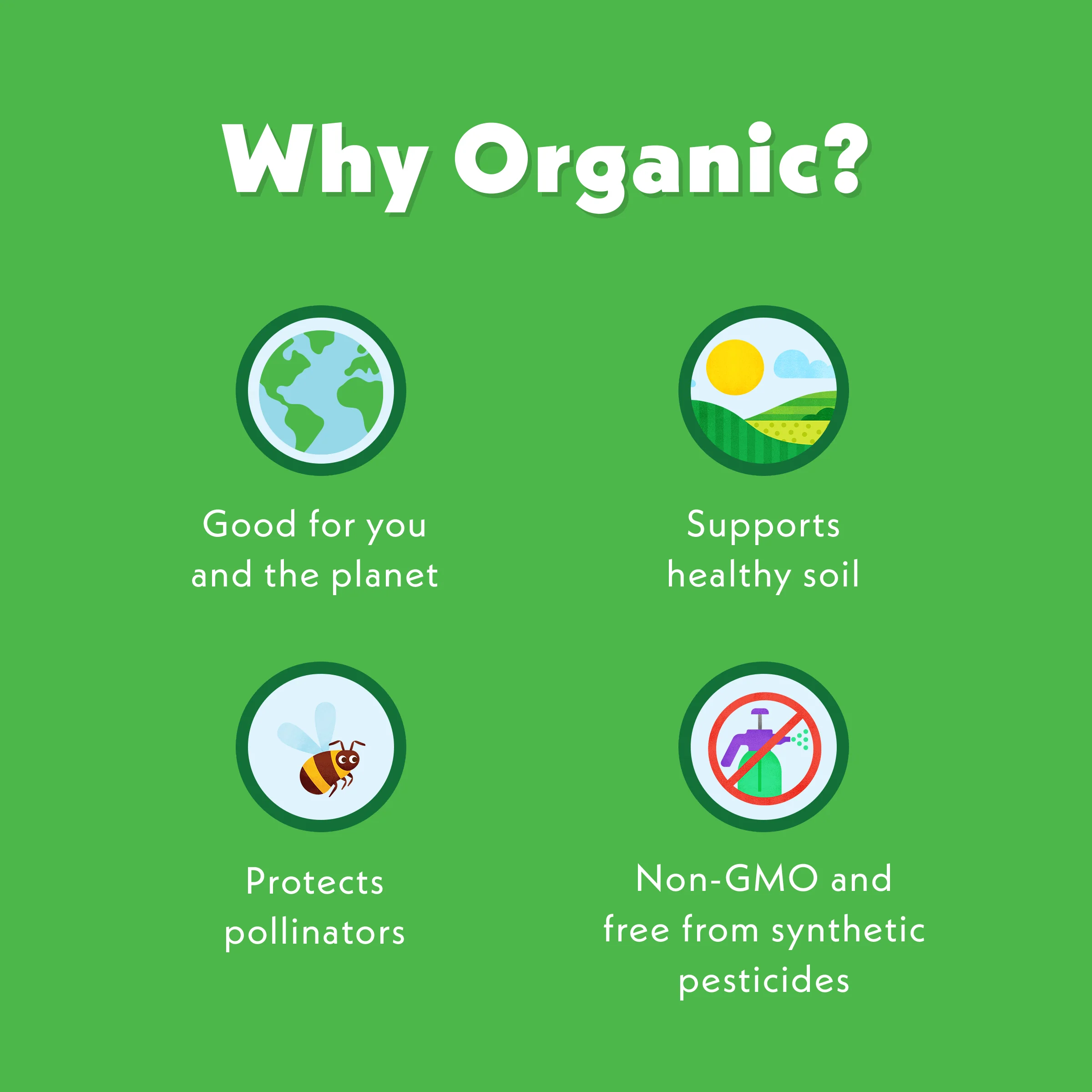 Mango, Banana & Spirulina Immunity Blend - Image 9