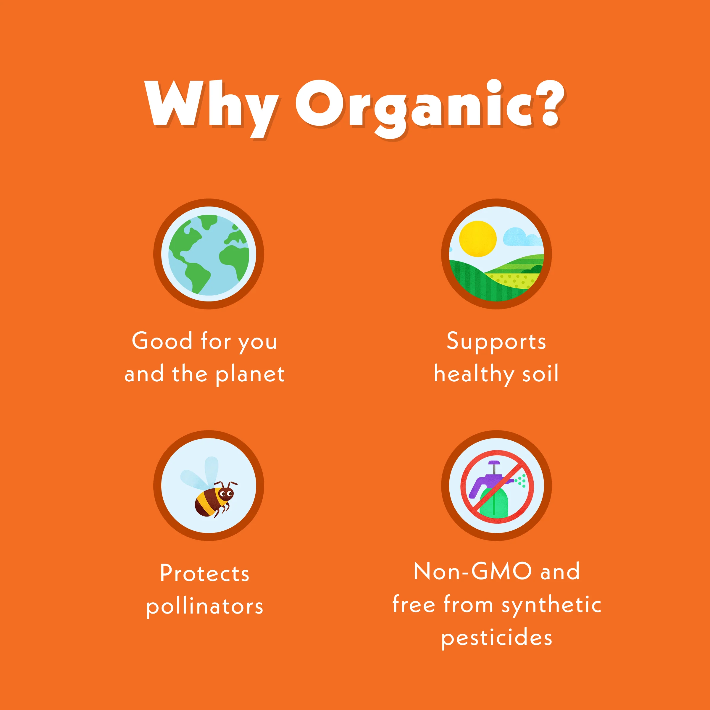 Orange-tastic Oat Milk Smoothie - Image 8