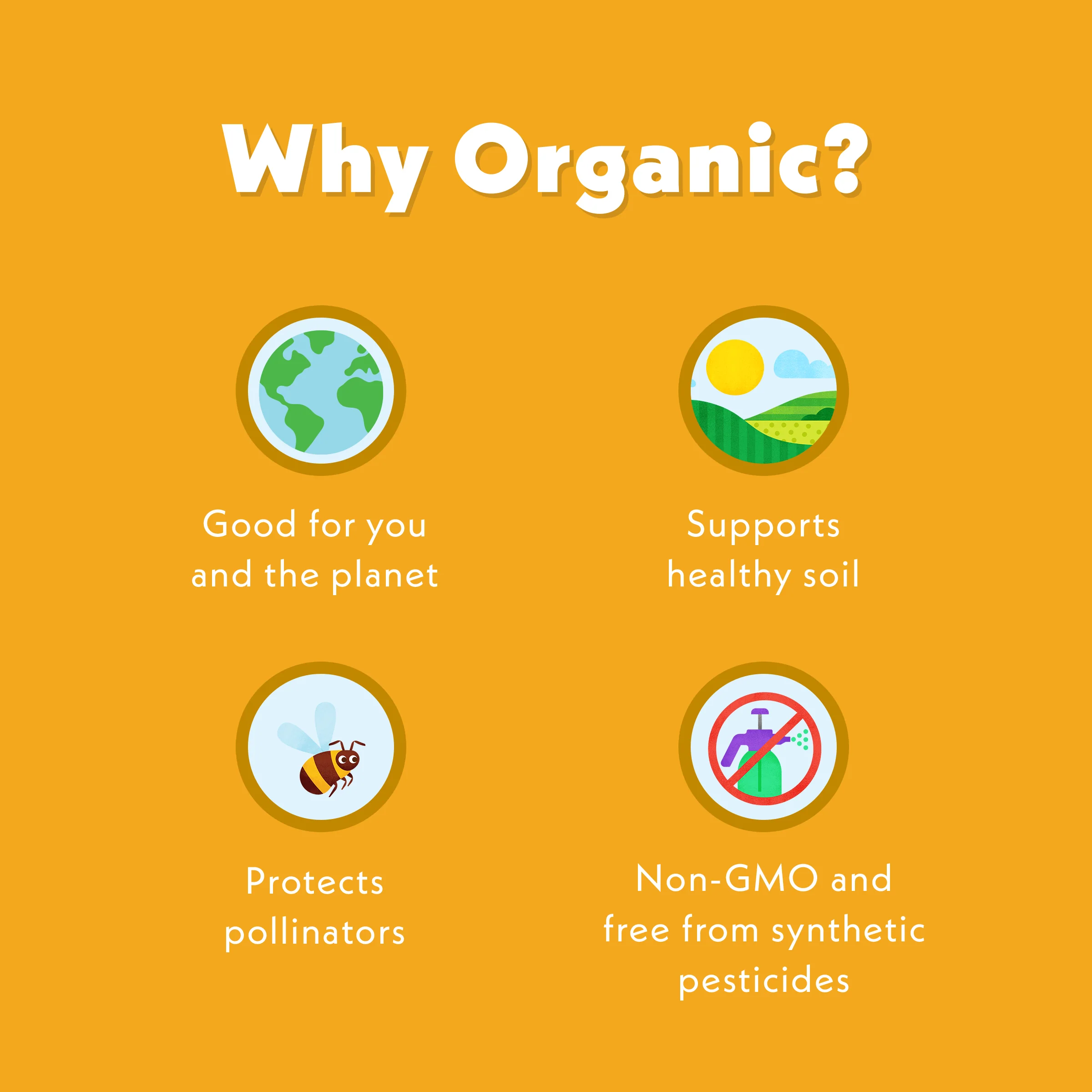 Pine-Apple Guava Belly Blend - Image 7