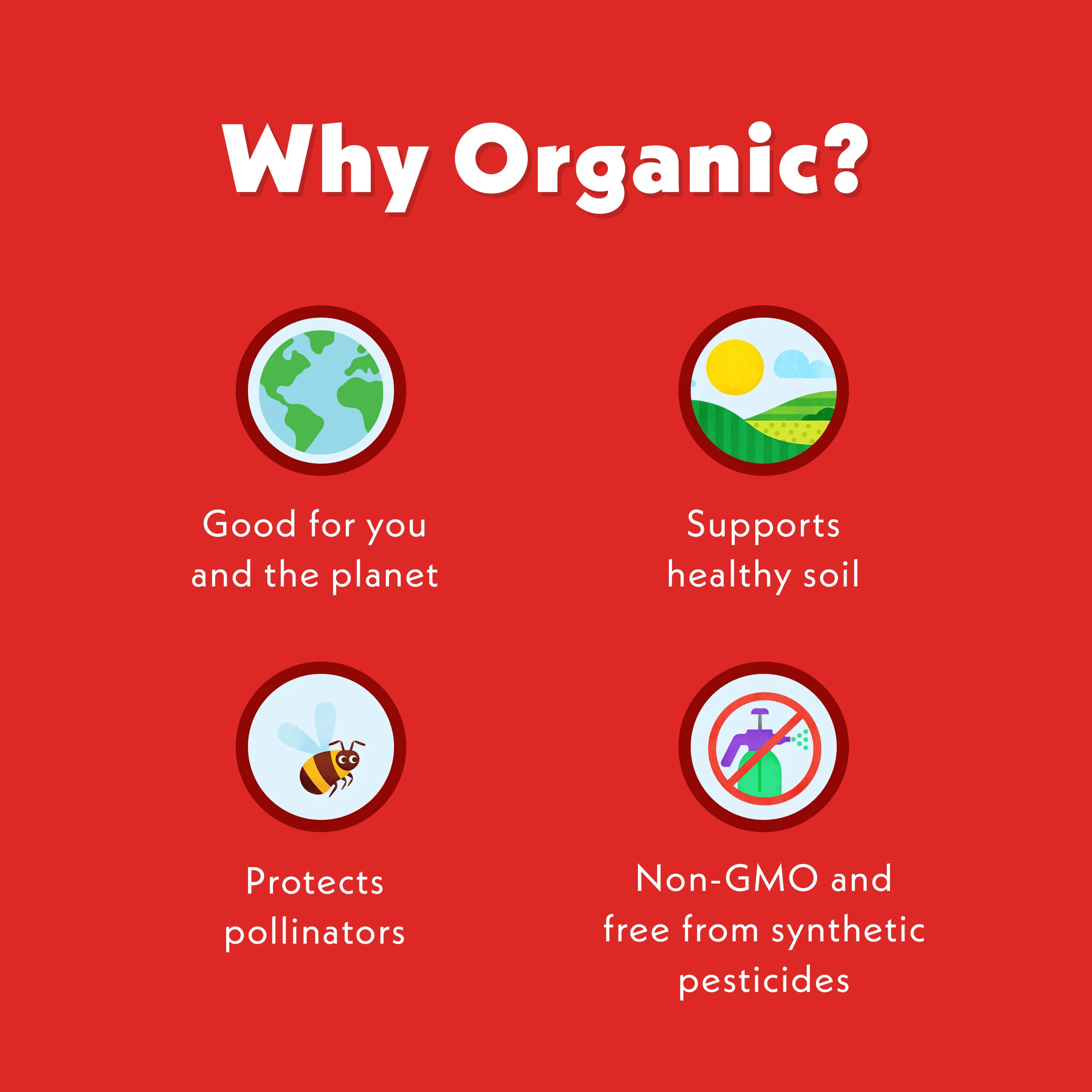 Strawberry Patch - Image 11