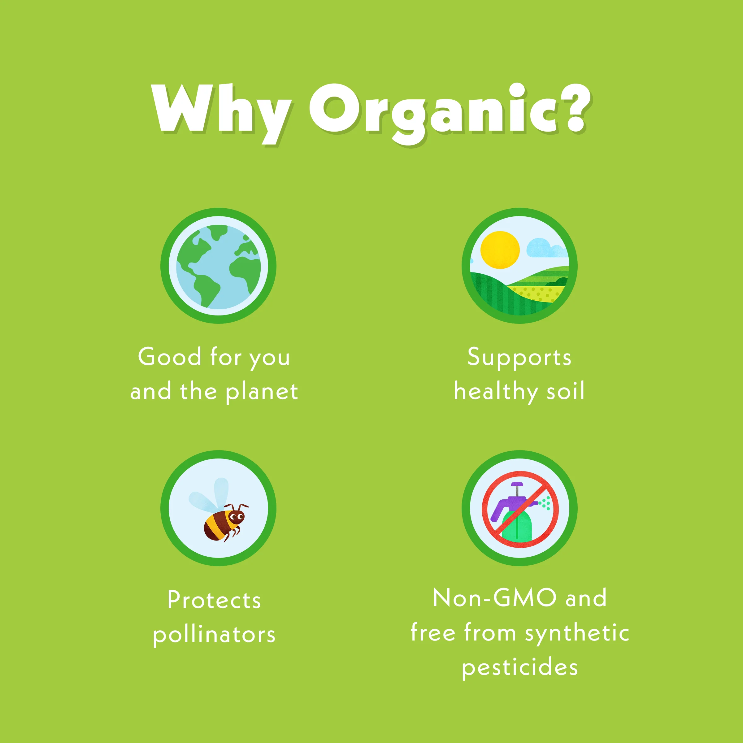 Wild Rumpus Avocado - Image 9